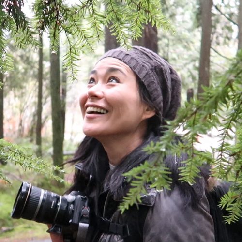 youtube coaching travel influencer