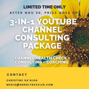 youtube channel audit package